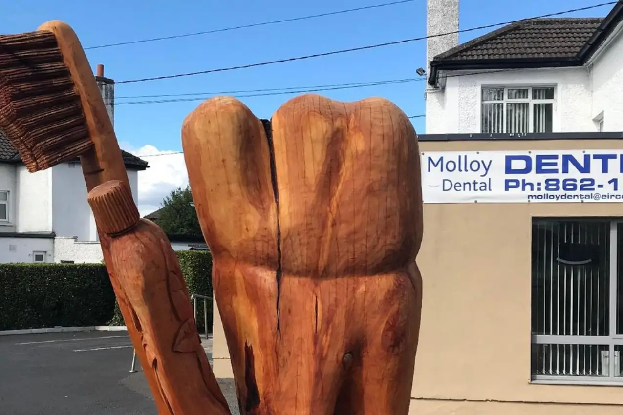 Renowned sculptor transforms Dublin dentist-tree into a giant tooth